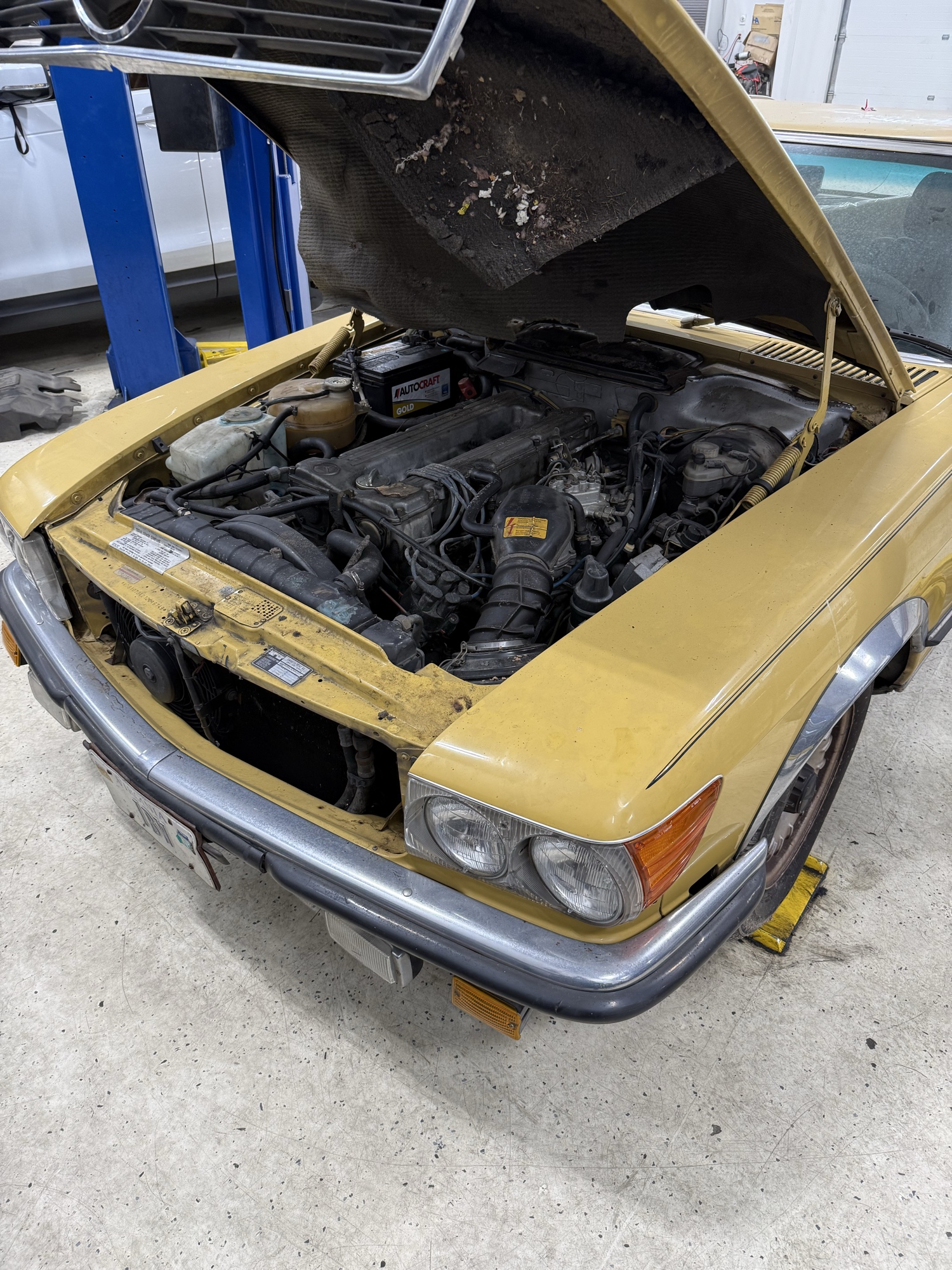Classic Mercedes engine bay for CIS fuel injection service